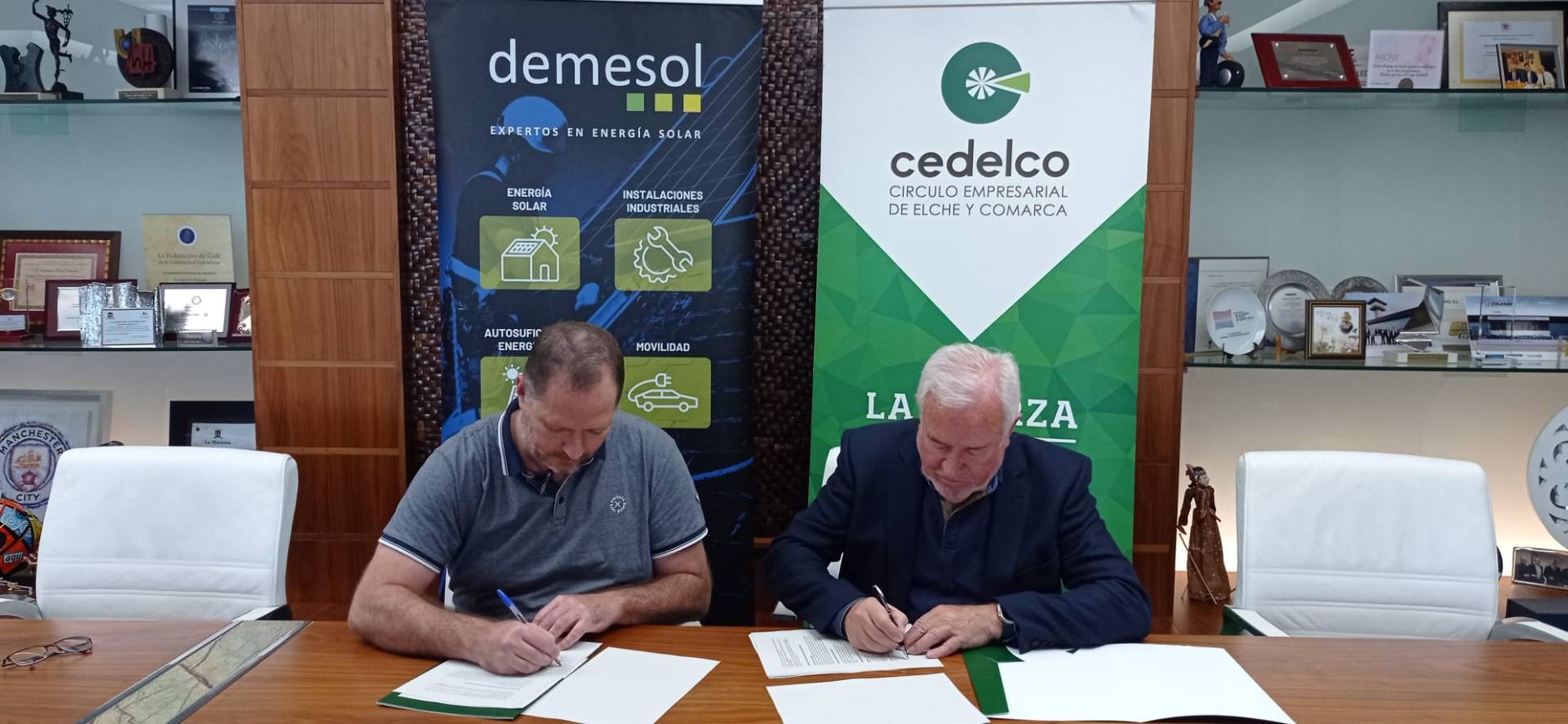 demesol portada